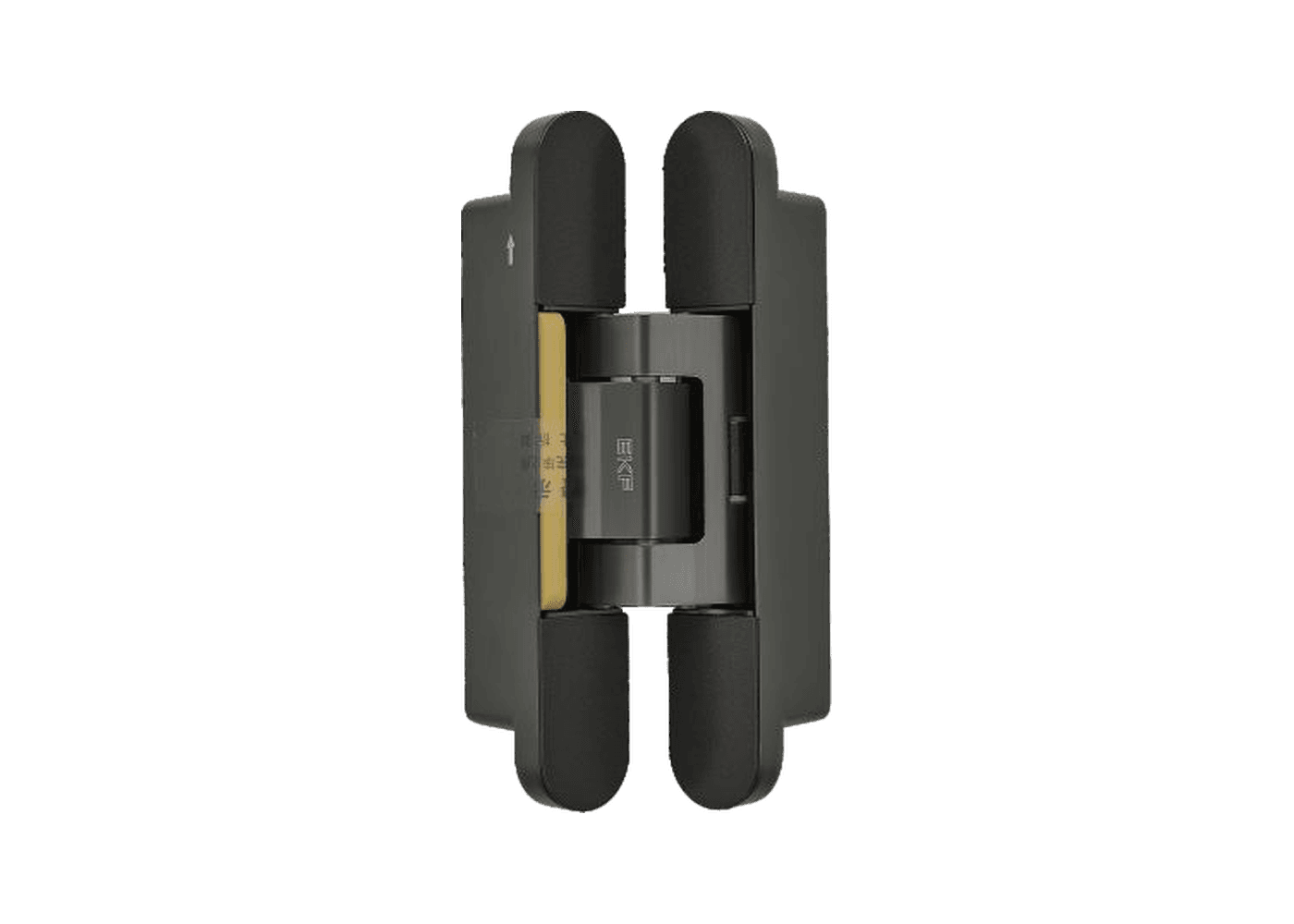 Concealed Hydraulic Self-closing Hinge